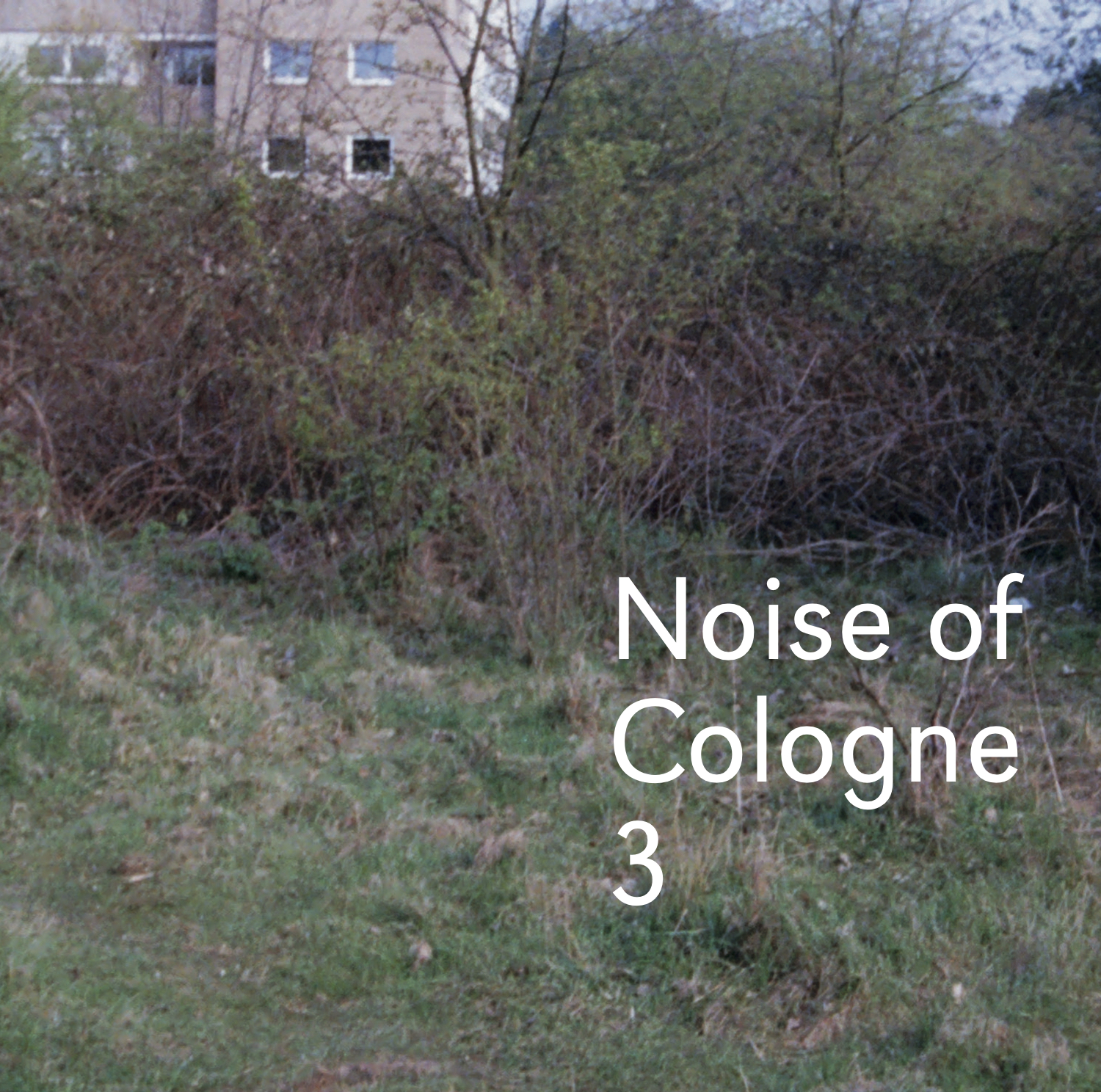 Noise of Colgne 3